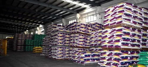 從田間到世界 中國牛蛙產(chǎn)業(yè)如何借科技與標(biāo)準(zhǔn)登上國際舞臺(tái)